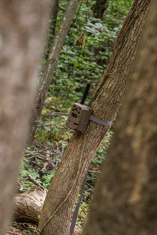 Moultrie Edge Camera Review